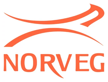 Логотип Norveg